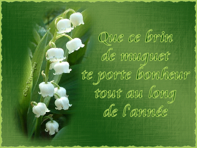 pour toi mon fiancé