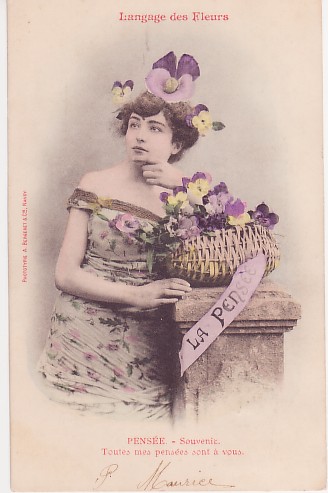 pensée