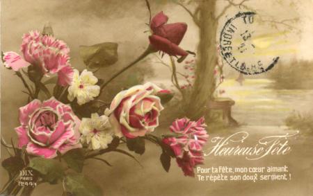 rose de toujours