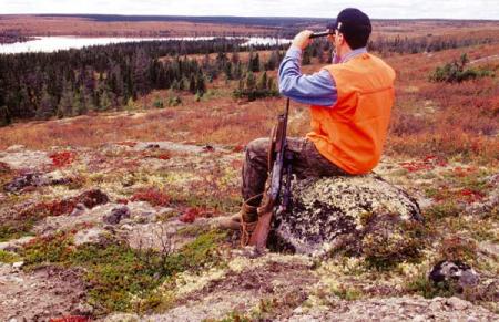 bientôt la chasse a l orignal et le chevreuil